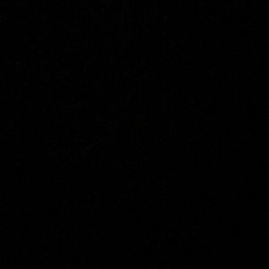 Meet your Posher, Armond